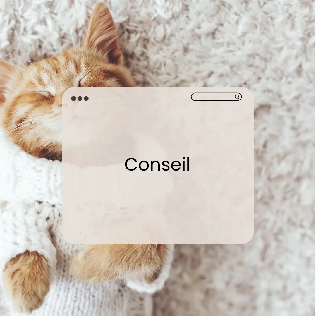 Conseil