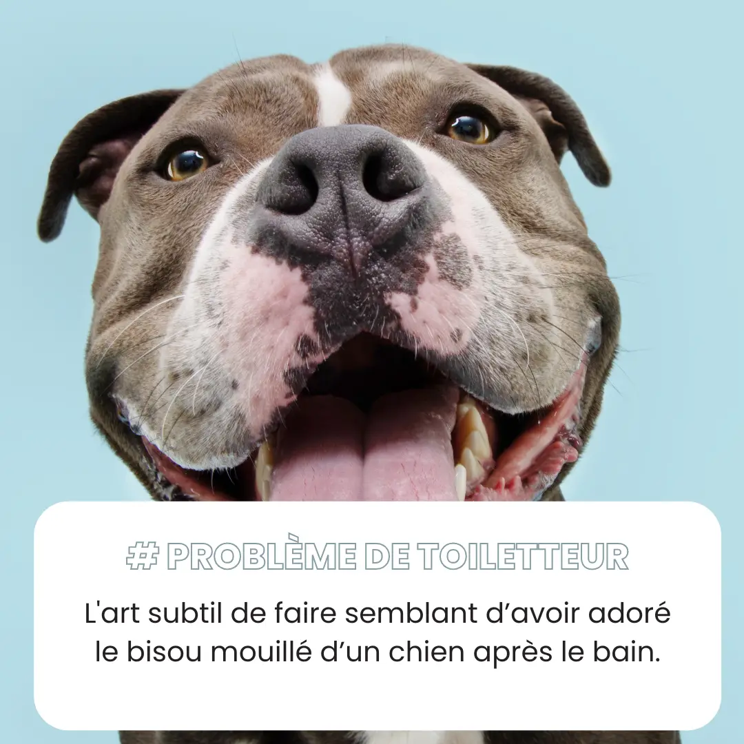 # PROBLéme de toiletteur