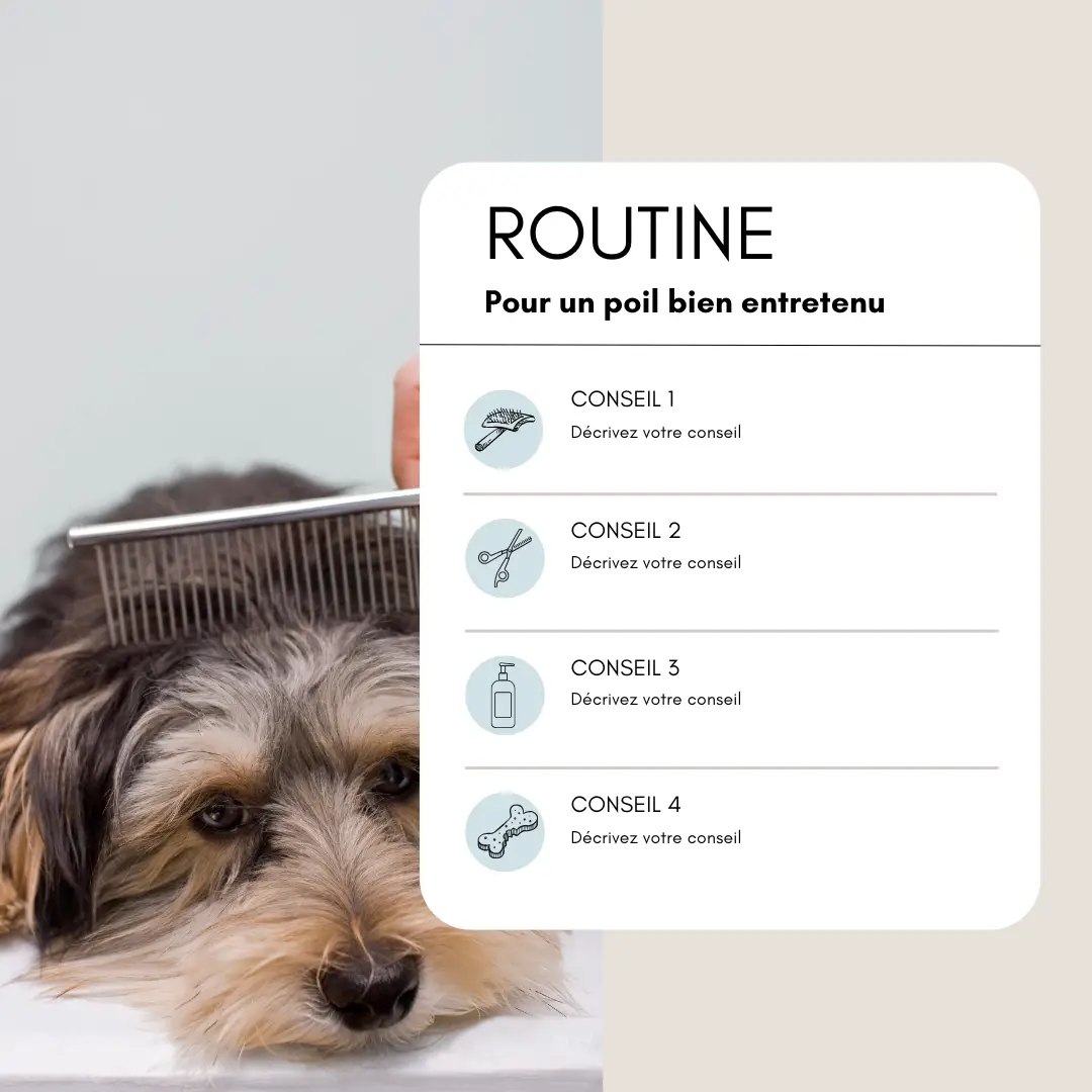 ROUTINE
