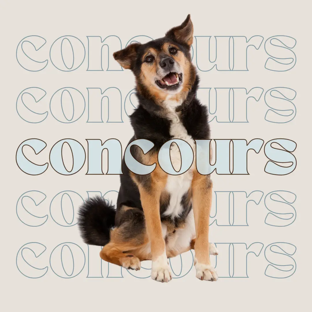 concours